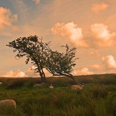 乐鱼体育平台下载地址